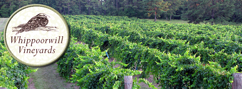 Fattoria Le Capezzine